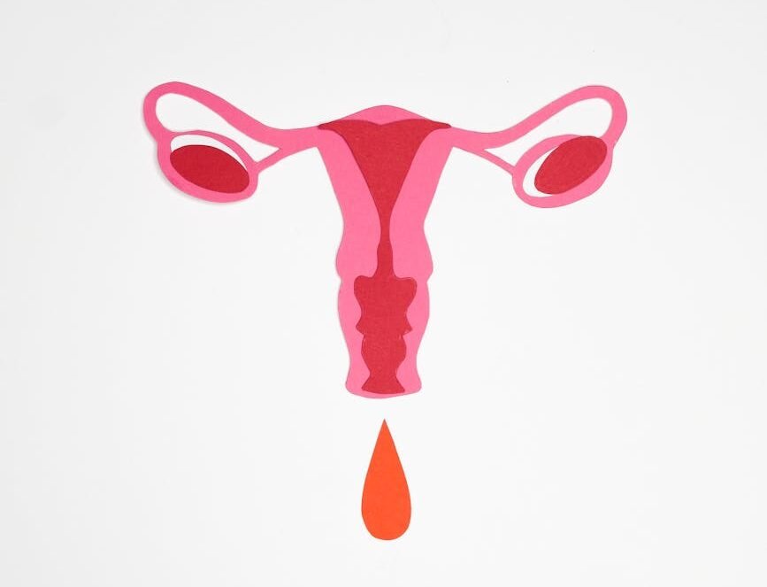 illustration of menstruation